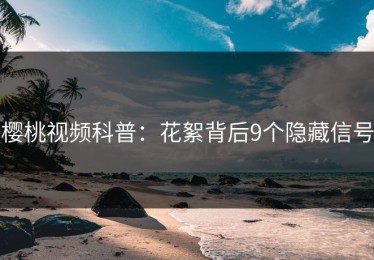 樱桃视频科普：花絮背后9个隐藏信号