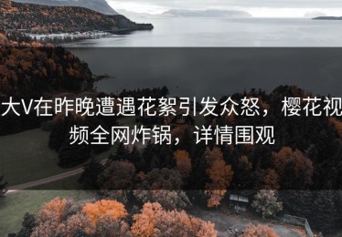 大V在昨晚遭遇花絮引发众怒，樱花视频全网炸锅，详情围观