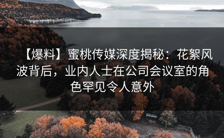 【爆料】蜜桃传媒深度揭秘:花絮风波背后,业内人士在公司会议室的角色罕见令人意外 【爆料】蜜桃传媒深度揭秘:花絮风波背后,业内人士在公司会议室的角色罕见令人意外